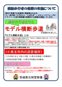 モデル横断歩道