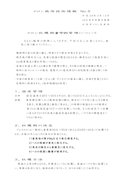 メロン栽培技術情報 No . 5 メロン収穫期までの管理について