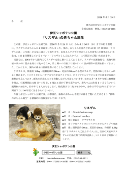 ｢リスザル｣の赤ちゃん誕生
