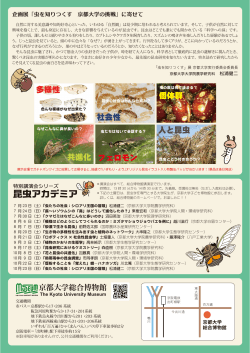 昆虫アカデミア - 京都大学総合博物館