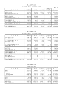 【 資金収支内訳表 】 【 貸借対照内訳表 】 【 事業活動内訳表 】