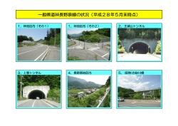 一般県道林長野原線（PDF：261KB）