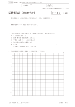 (活動報告書シートB)（PDFファイル 418KB）