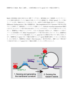EHBP1L1 は Rab8，Bin1 と連携し，上皮極性細胞における apical 方向