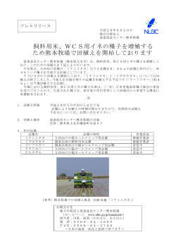 2016年6月20日 飼料用米、WCS用イネの種子を増殖するため熊本牧場