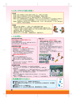 防護柵設置の注意点   ニホンザルの生態と特徴   主な対策