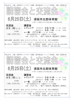 宣伝用ビラ - JDSF