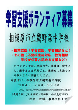 ・授業支援（学習支援、学習相談など） ・その他（不登校生徒対応、教育