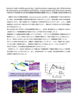 HMGB1の全身投与は生体内間葉系幹細胞を動員することで皮膚の炎症