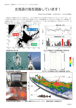 北海道の海を調査しています！