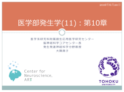 医学部発  学(11)：第10章 - 東北大学大学院医学系研究科 発生発達