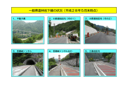 一般県道林岩下線（PDF：254KB）