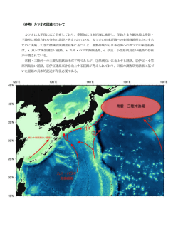 （参考）カツオの回遊について（PDF：145KB）