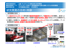 ラジコンボートを用いた港湾構造物の点検・診断システムの研究開発