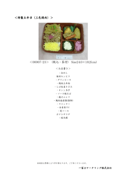 ＜特製お弁当（三色焼肉）＞ ＜00007-23＞ (税込・茶付) Size24.0&times;18.2