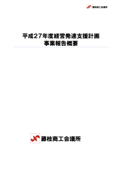 平成27年度経営発達支援計画 事業報告概要 藤枝商工会議所
