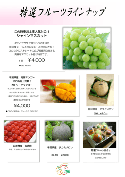 フルーツギフト(PDF:250KB)