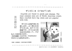 2016 年 6 月 23 日（木）読売新聞朝刊「英語歳時記」