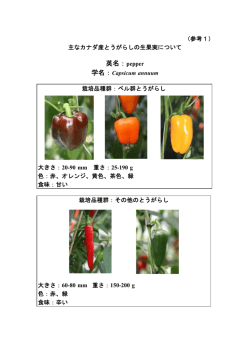 英名：pepper