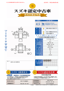 出力日付： 平成 28年6月19日