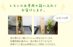 梱包状態はこちら