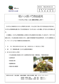 花いっぱいでお出迎え ～大川ダムで花いっぱい運動を開催します