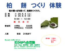 柏の葉を採取して柏餅つくり