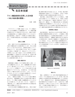 ワイン醸造技術を応用した日本酒