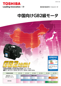 中国向けGB2級モータ