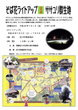 28蕎麦花ライトアップ - ひだ荘川｜荘川町まちづくり協議会