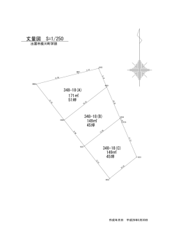丈量図 S=1/250