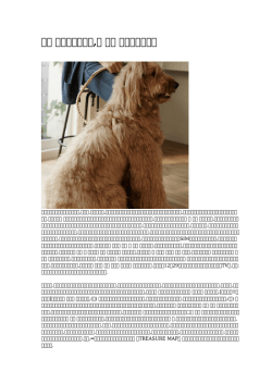 柴犬 えしゃれな首輪,犬 首輪 本革使用説明書 - Paddles Of Distinction