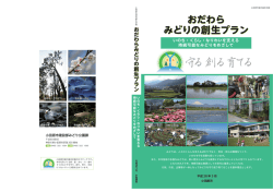 表紙・背表紙・裏表紙