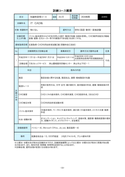 IT CAD科