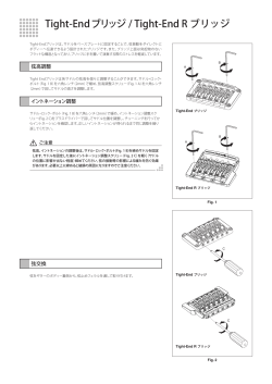 Tight-End ブリッジ / Tight-End R ブリッジ