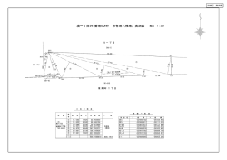 別紙（1）実測図（PDF 574.9KB）