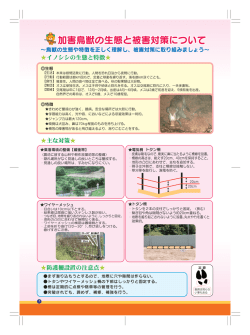 加害鳥獣の生態と被害対策について（イノシシ）