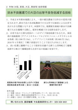 排水不良圃場での大豆の出芽不良を低減する技術