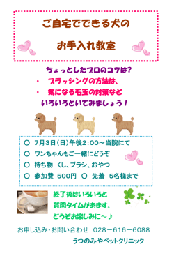 ãèªå®ã§ã§ããç¬ã® ãæå¥ãæå®¤
