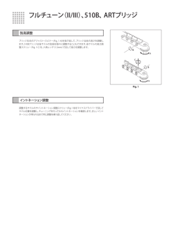 フルチューン（II/III）、510B、ARTブリッジ