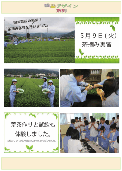 5月 9 日 ( 火） 茶摘み実習