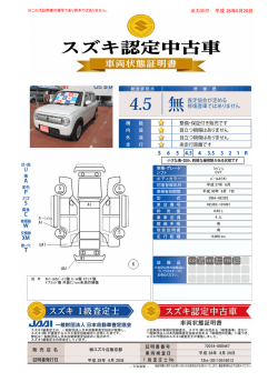 出力日付： 平成 28年6月20日