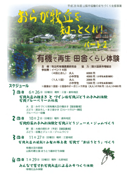 28年度協働事業スケジュール のコピー