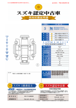 出力日付： 平成 28年6月21日