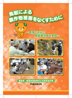 表紙（PDF：598KB）