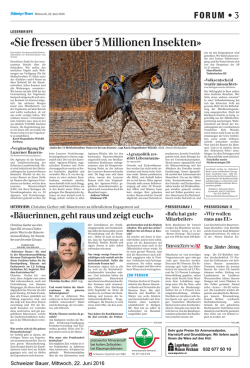 Interview mit Christine Gerber
