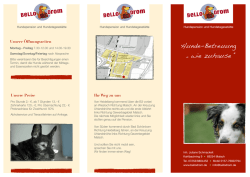 Hunde-Betreuung &bdquo; wie zuhause &ldquo;