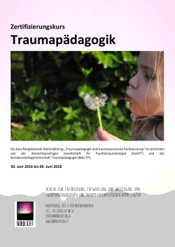 Ausschreibung Traumapädagogik Kurs 2016