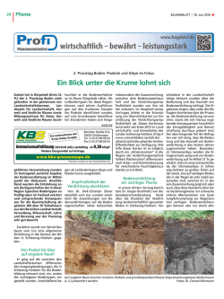 Ein Blick unter die Krume lohnt sich