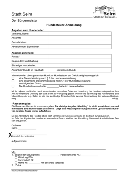 Hundesteuer Anmeldung